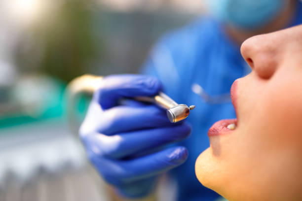  Ponderosa Park, CO Holistic Dental Services Pros